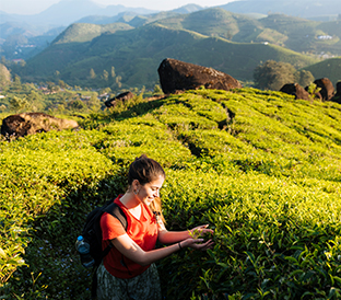 Munnar Tour Package